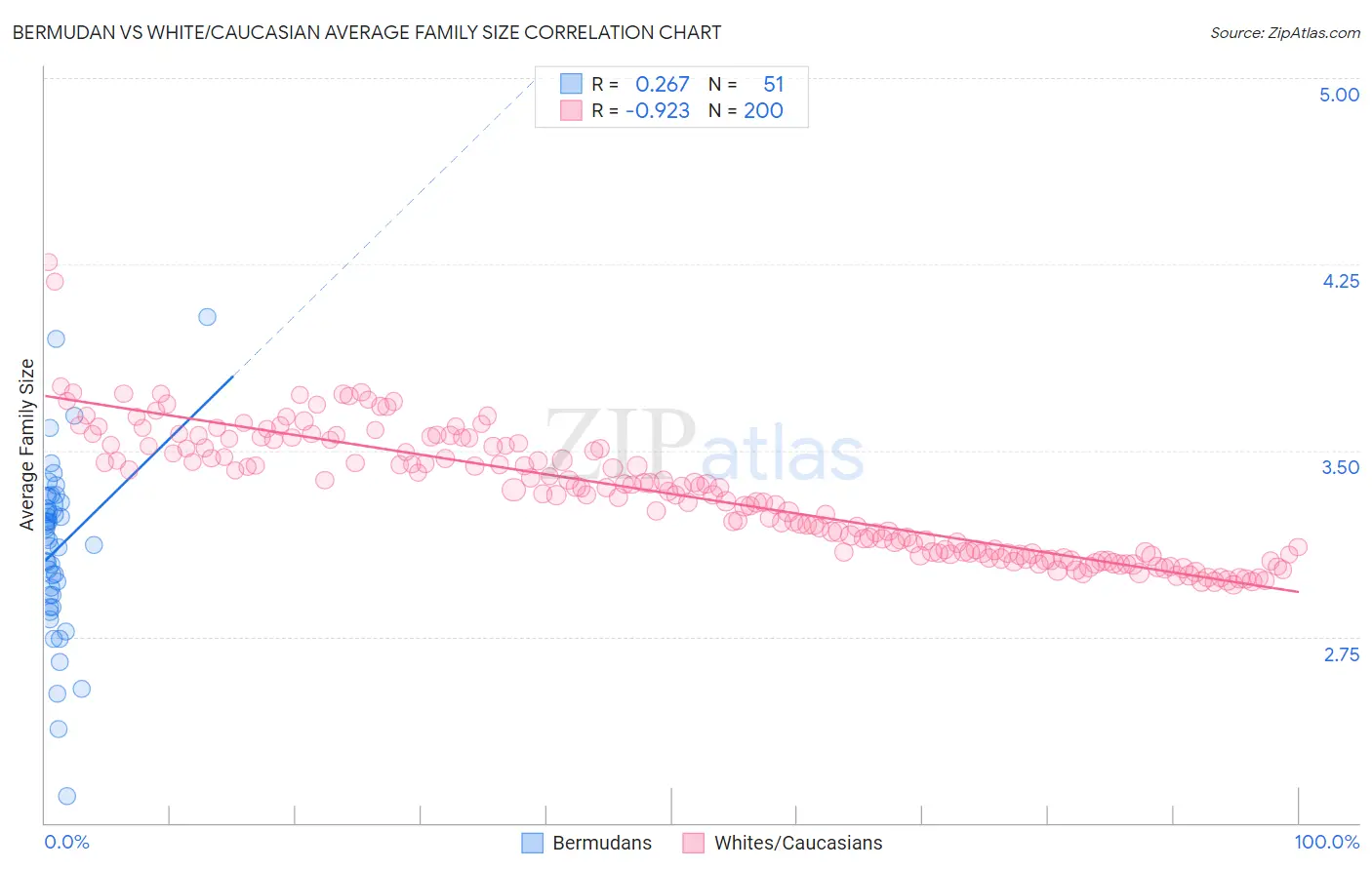 Bermudan vs White/Caucasian Average Family Size