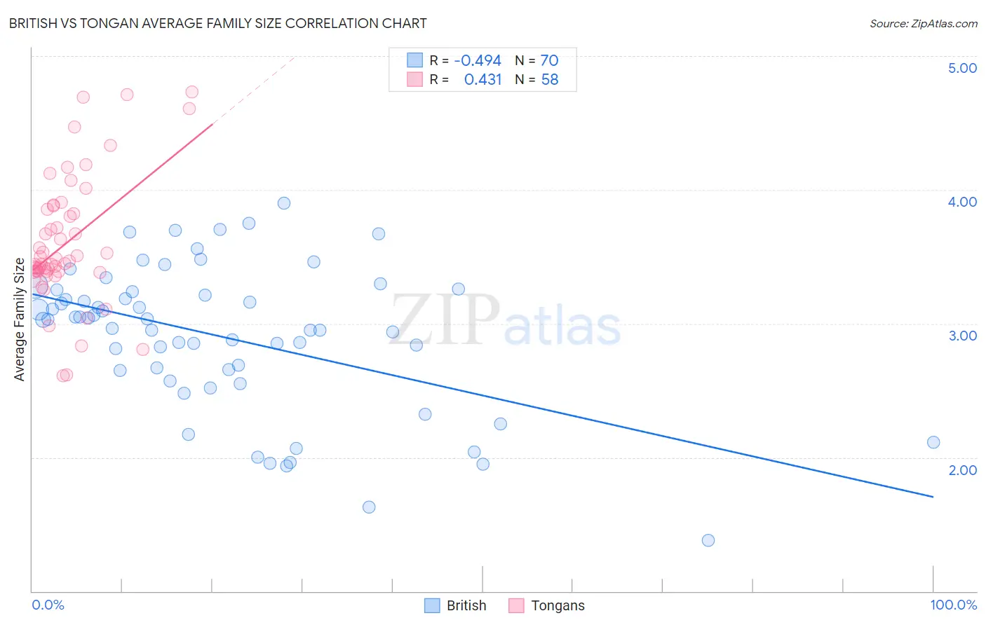 British vs Tongan Average Family Size