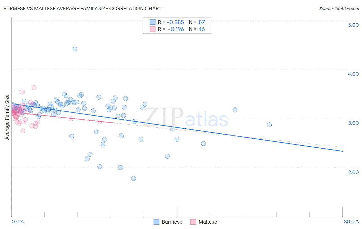 Burmese vs Maltese Average Family Size