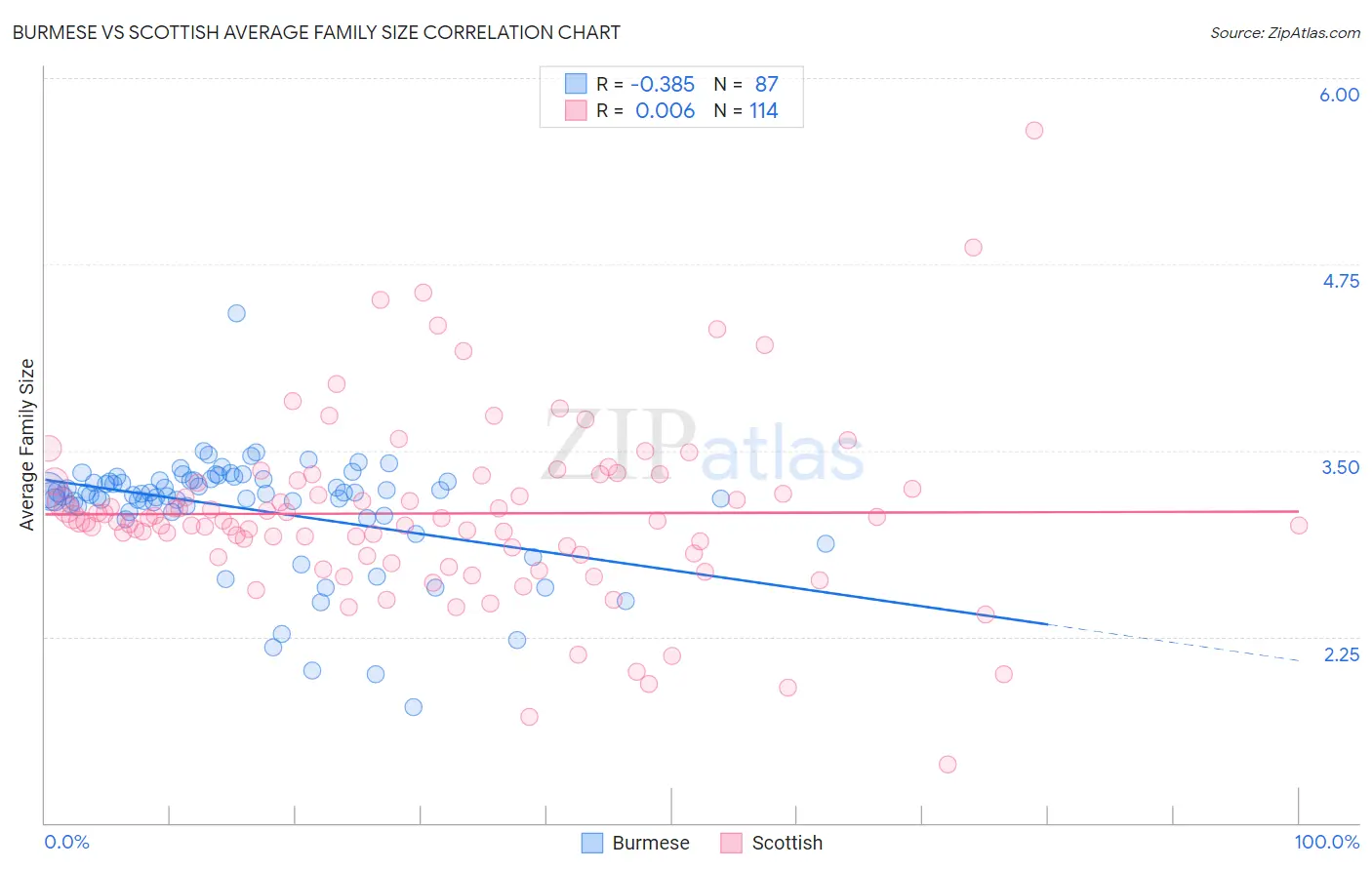 Burmese vs Scottish Average Family Size