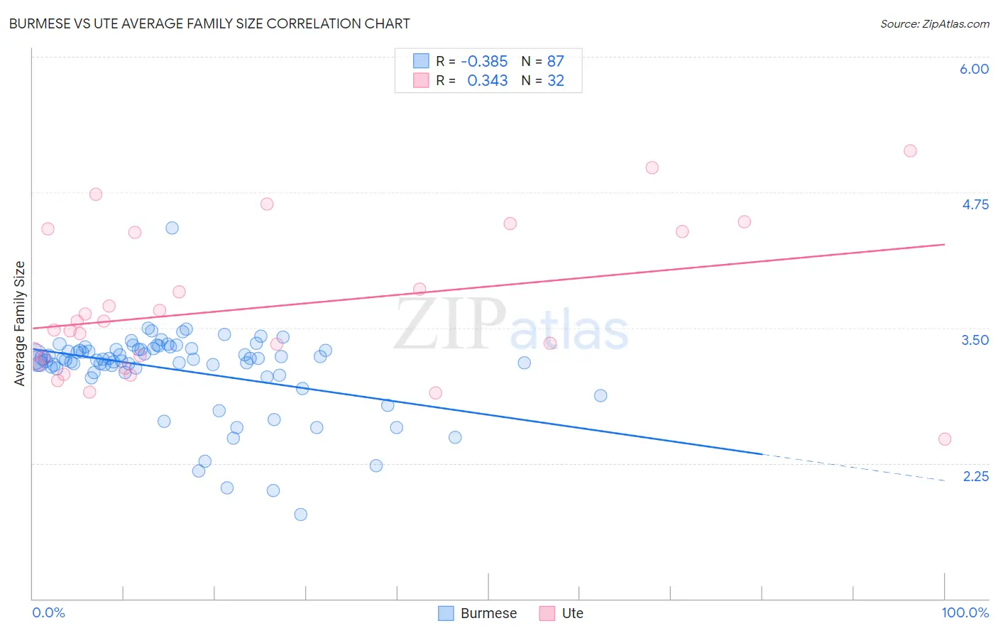 Burmese vs Ute Average Family Size