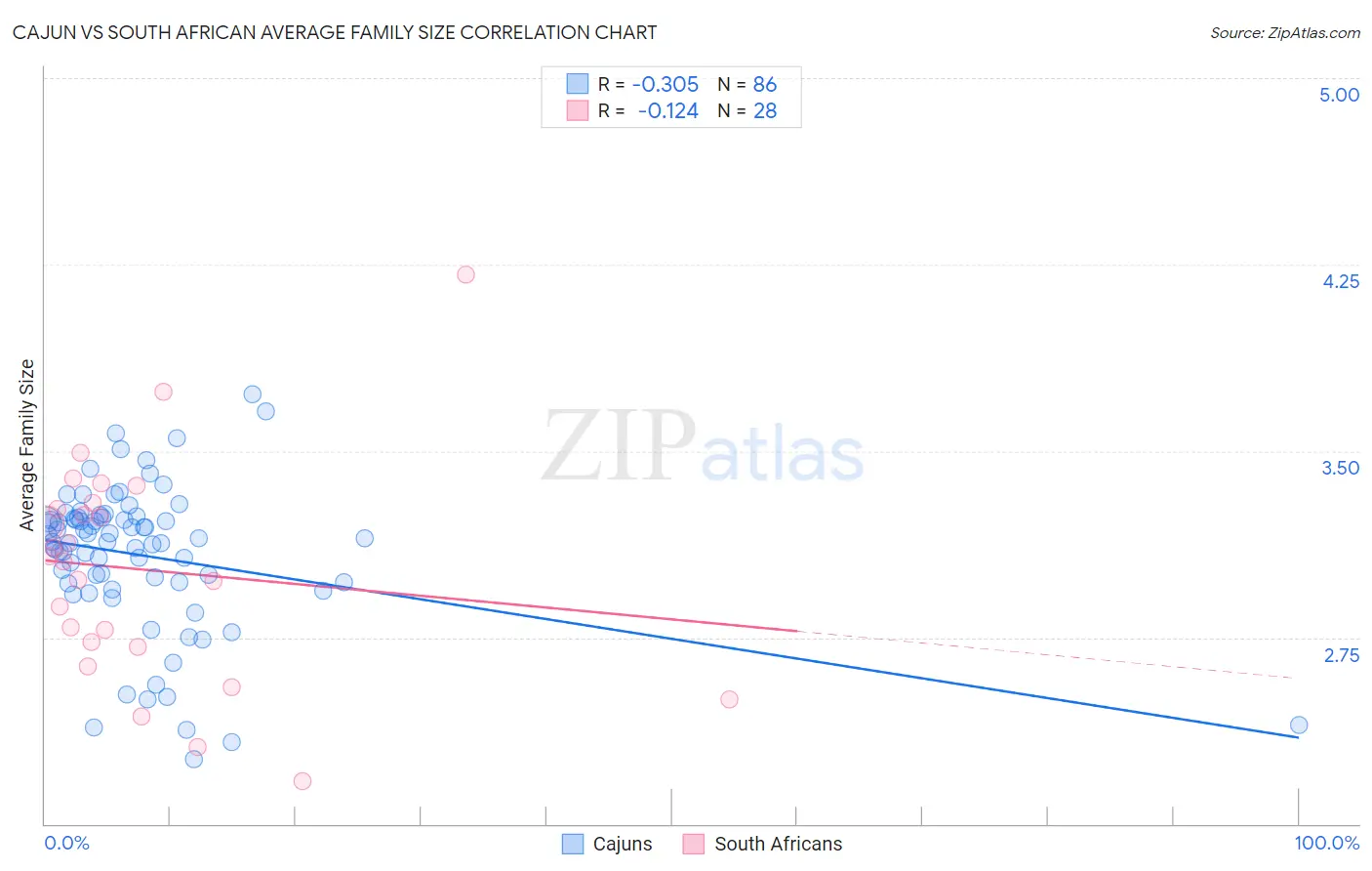 Cajun vs South African Average Family Size