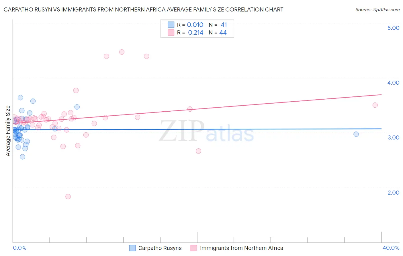 Carpatho Rusyn vs Immigrants from Northern Africa Average Family Size