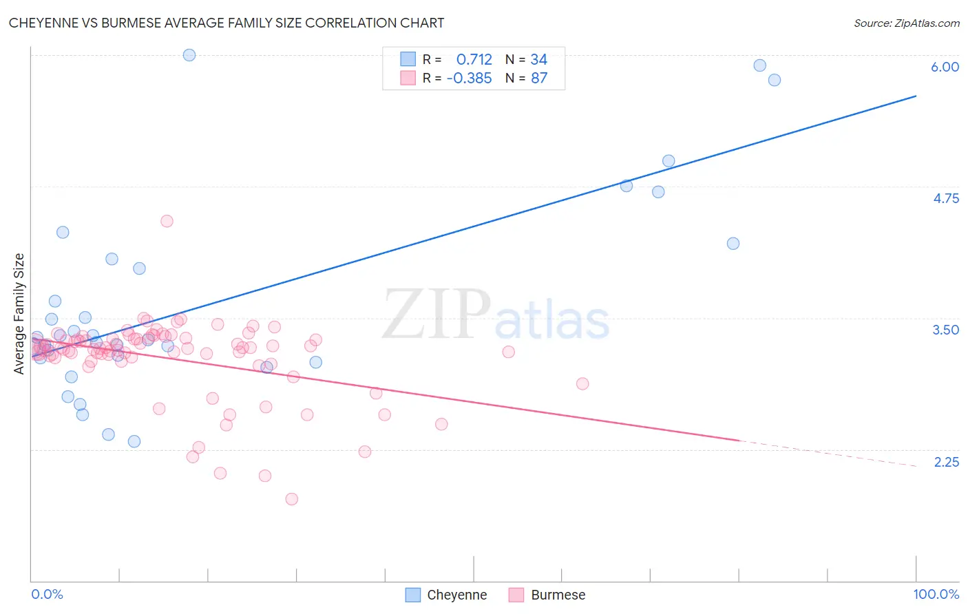 Cheyenne vs Burmese Average Family Size