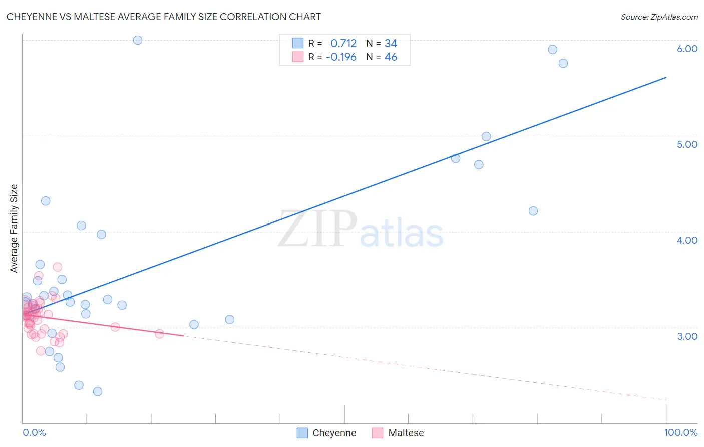 Cheyenne vs Maltese Average Family Size