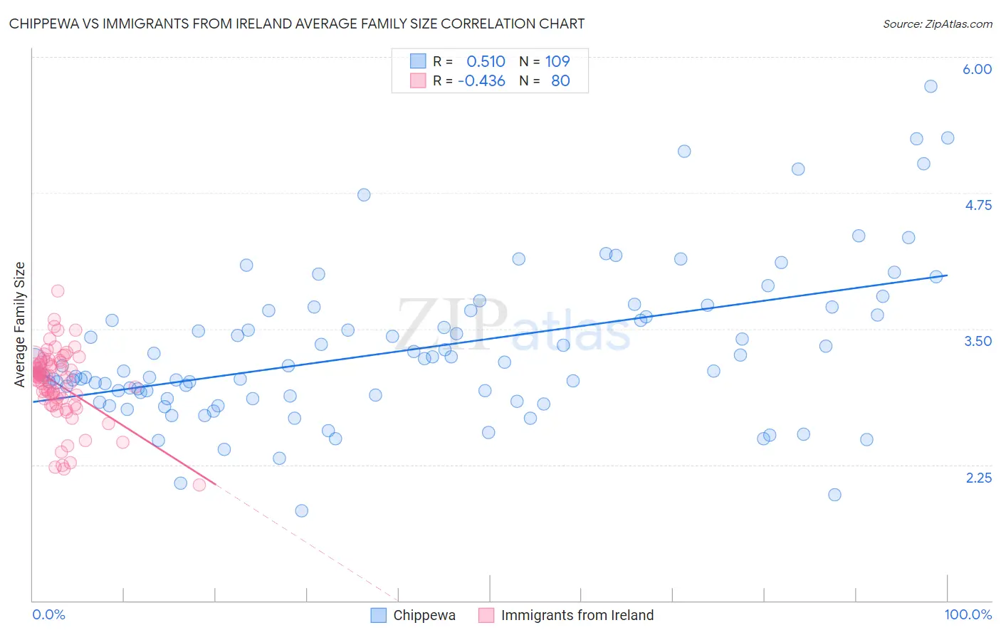 Chippewa vs Immigrants from Ireland Average Family Size