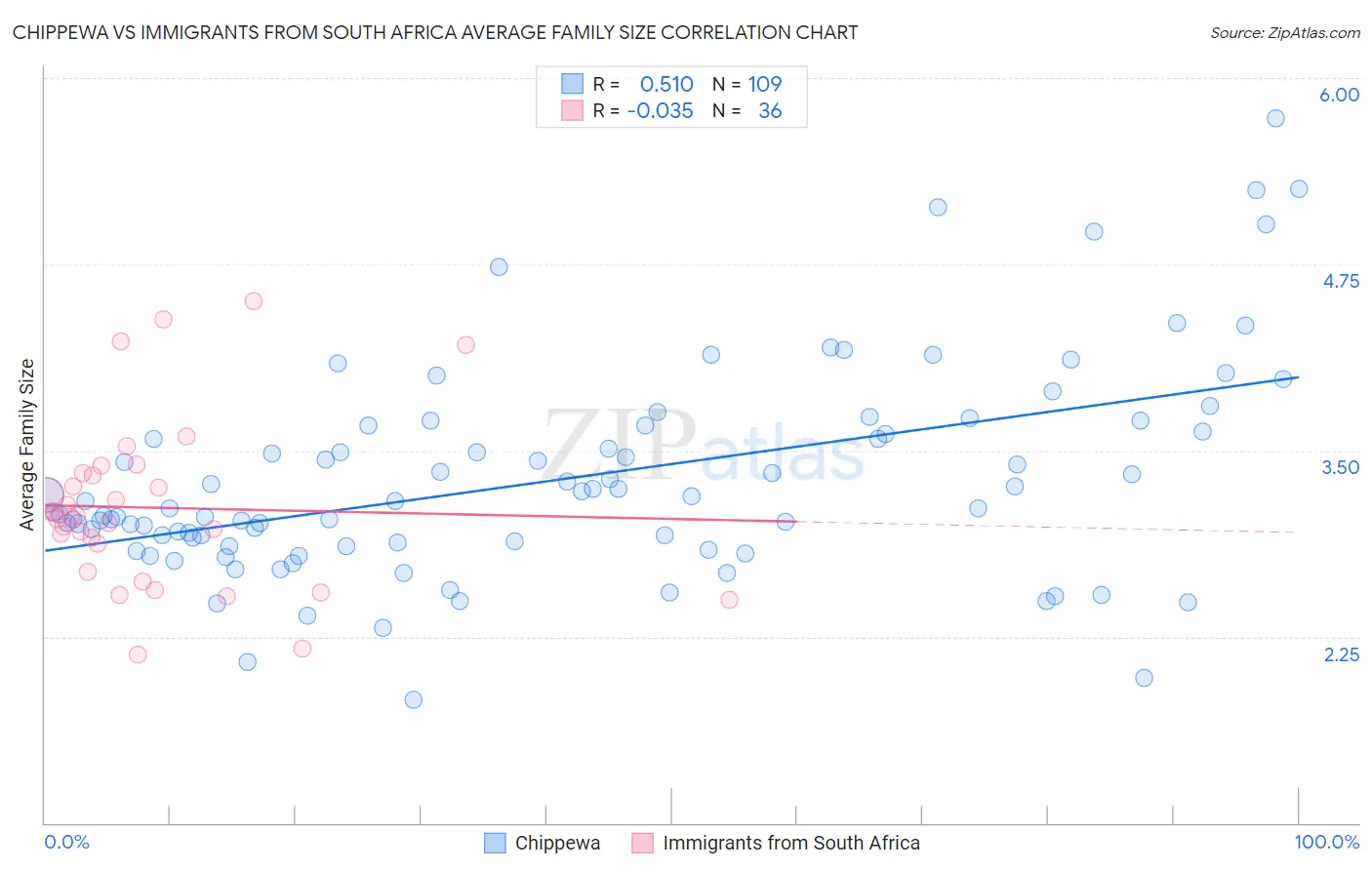 Chippewa vs Immigrants from South Africa Average Family Size