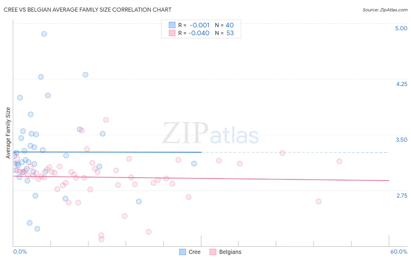 Cree vs Belgian Average Family Size