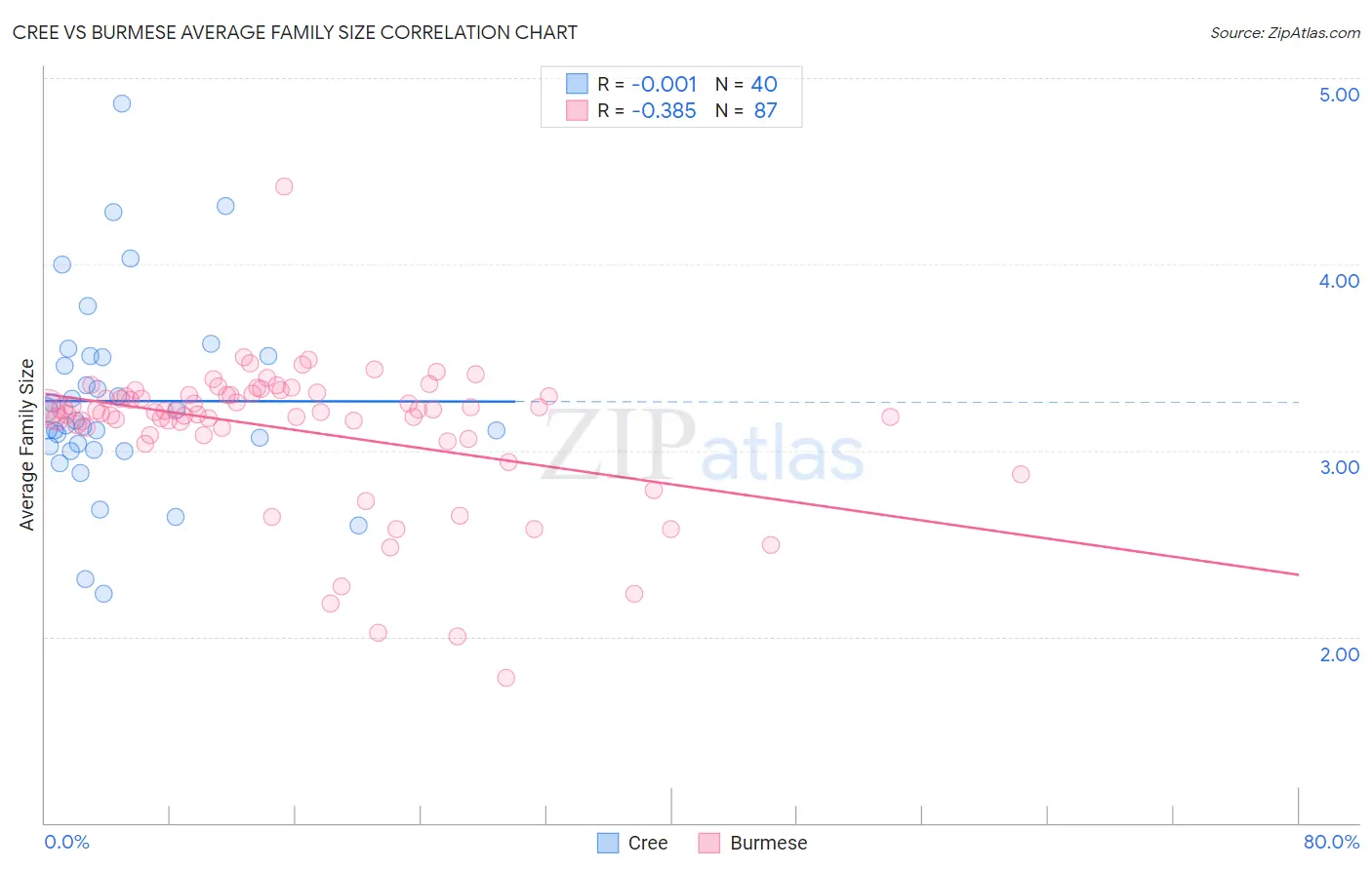 Cree vs Burmese Average Family Size