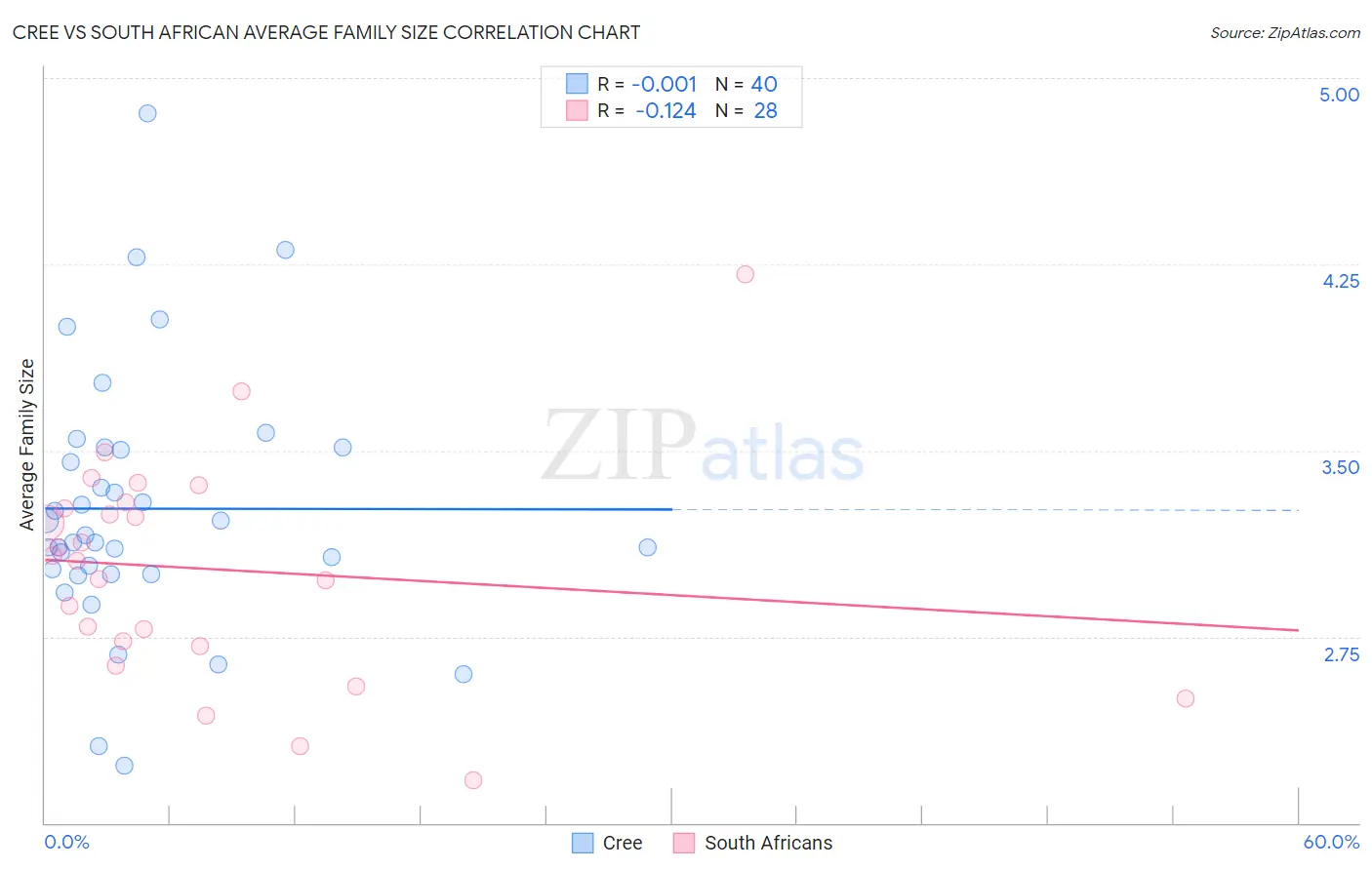 Cree vs South African Average Family Size