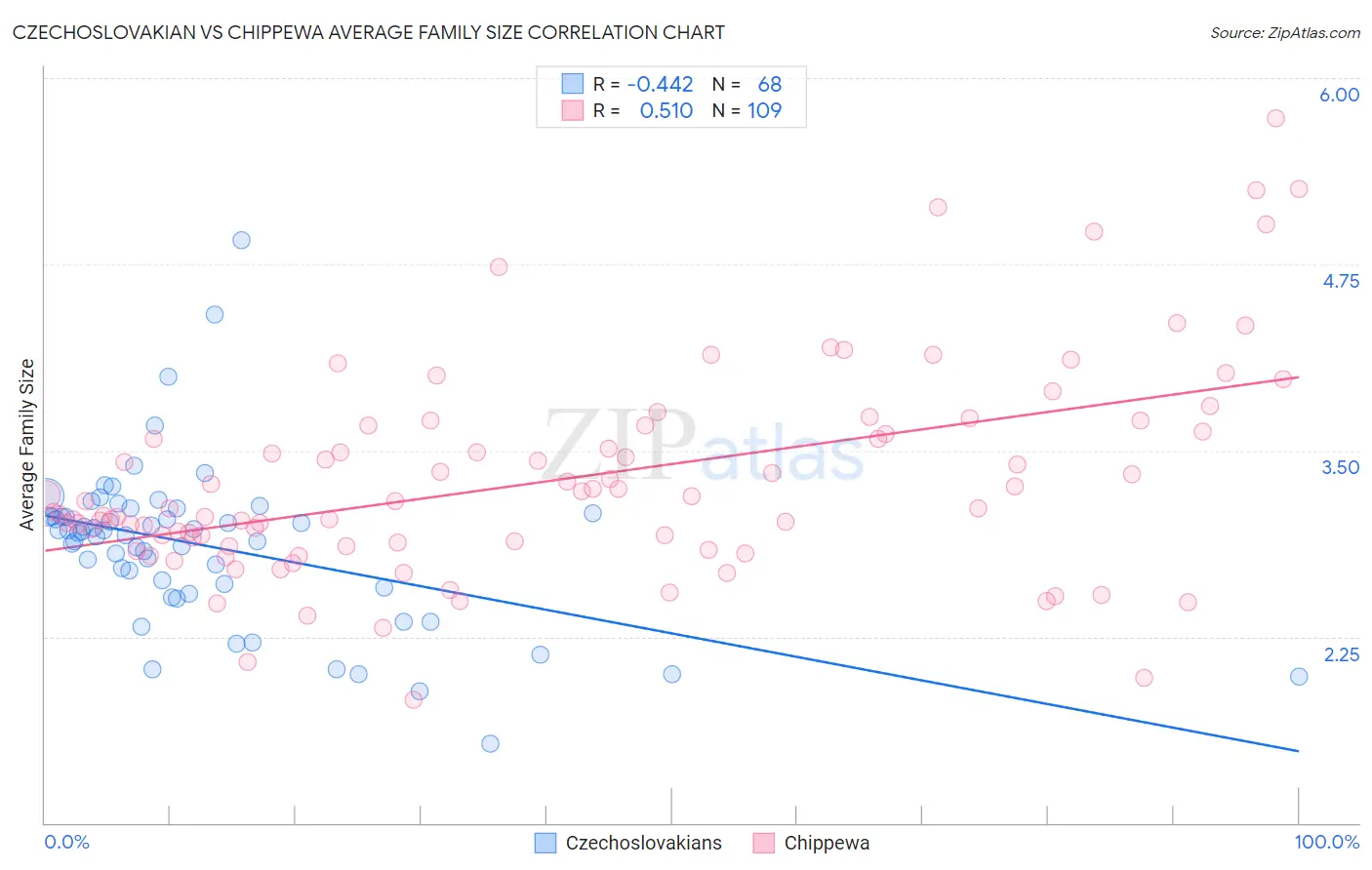 Czechoslovakian vs Chippewa Average Family Size