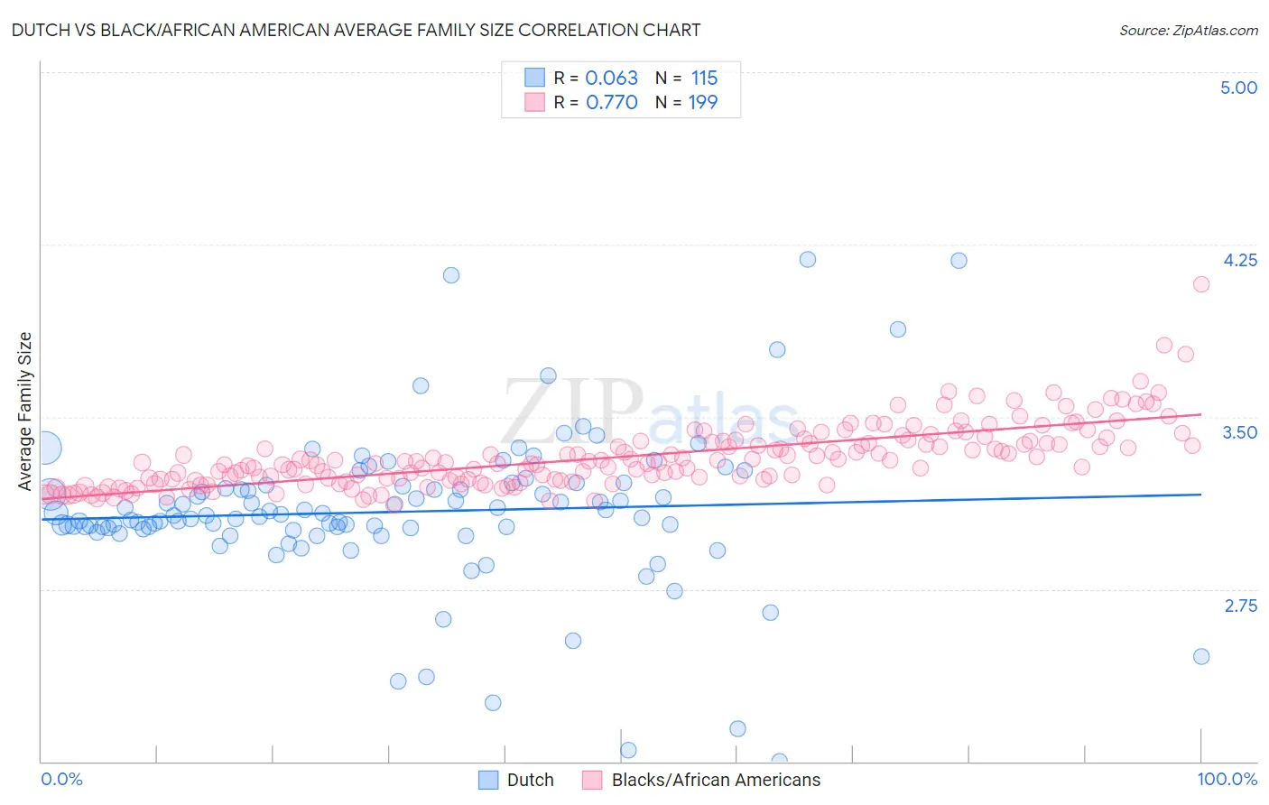 Dutch vs Black/African American Average Family Size