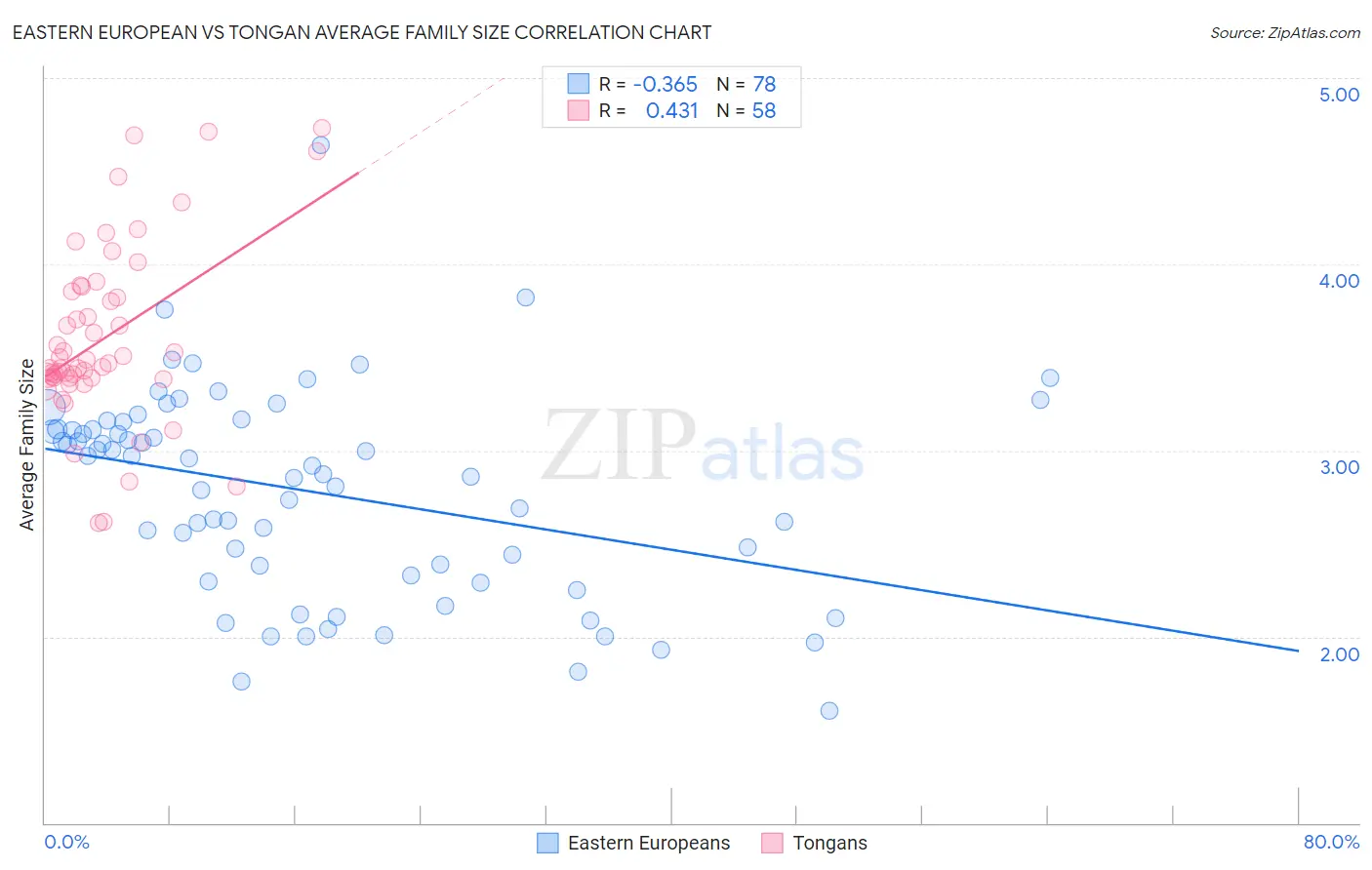Eastern European vs Tongan Average Family Size