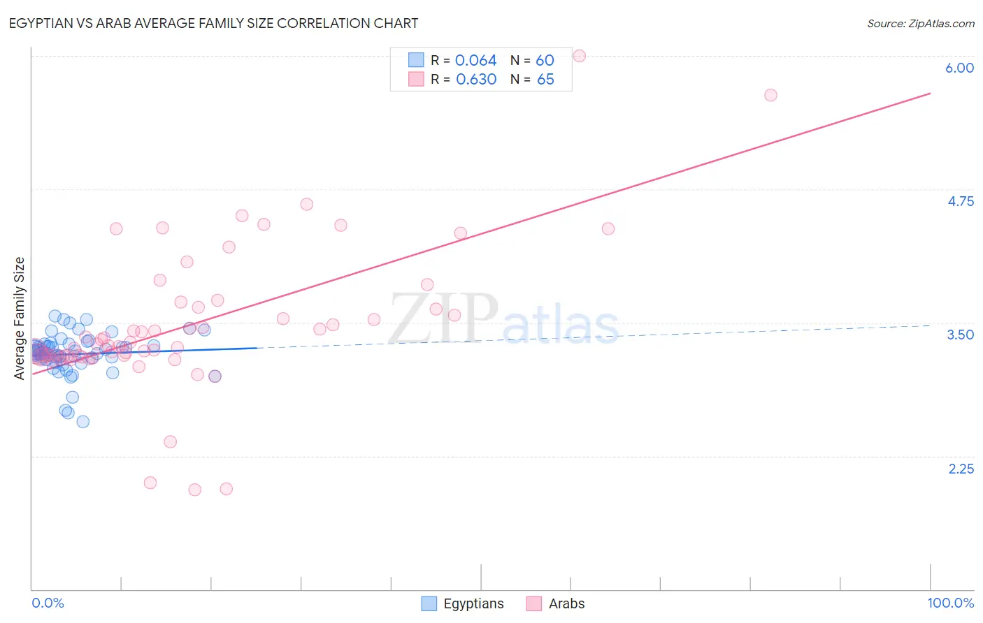 Egyptian vs Arab Average Family Size