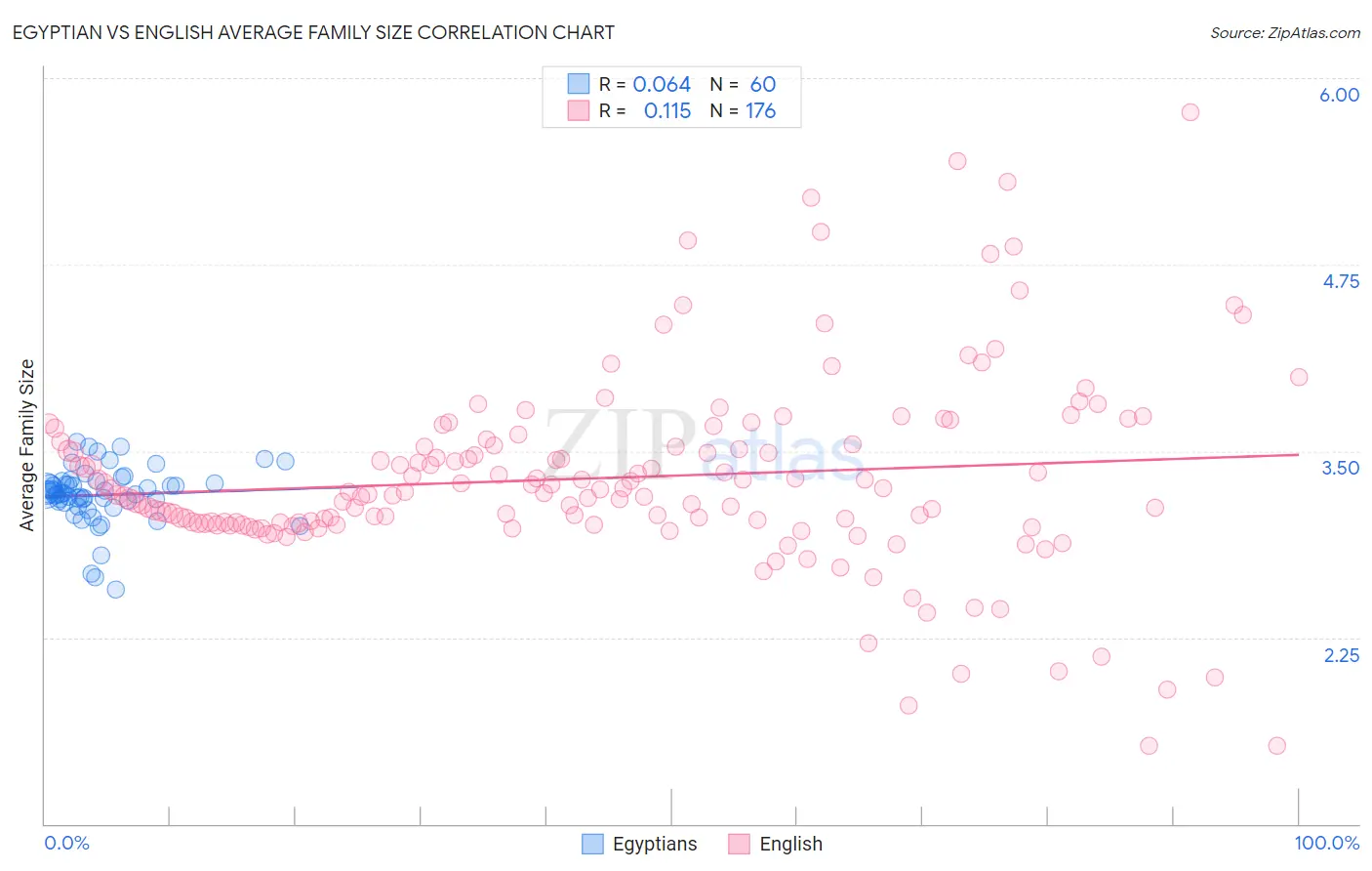 Egyptian vs English Average Family Size