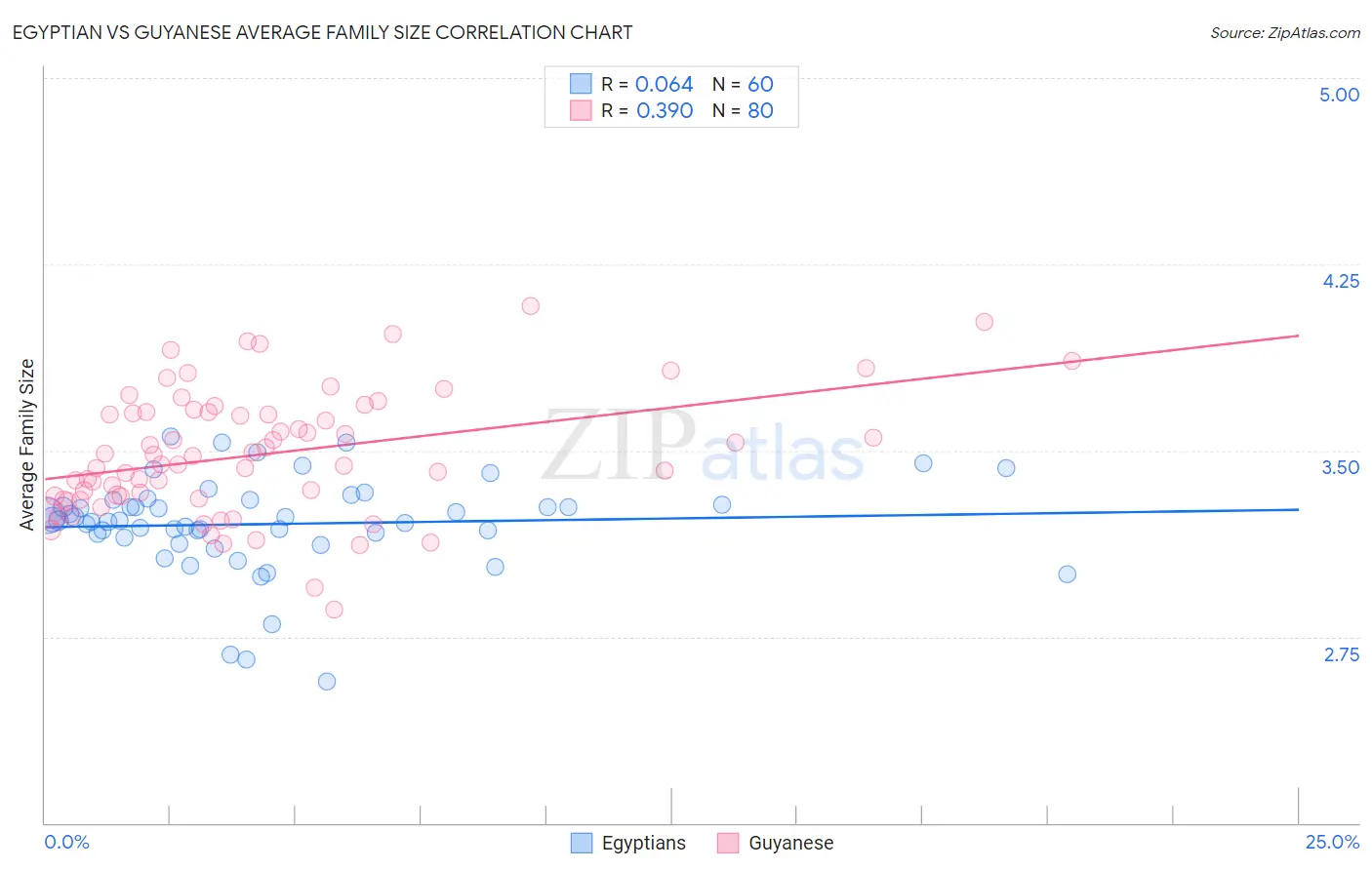 Egyptian vs Guyanese Average Family Size