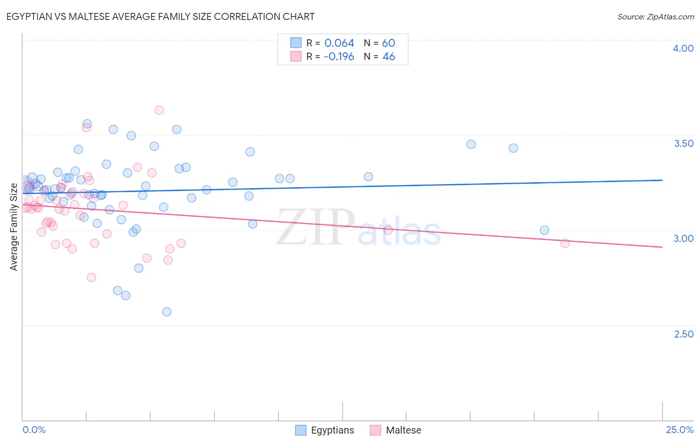 Egyptian vs Maltese Average Family Size