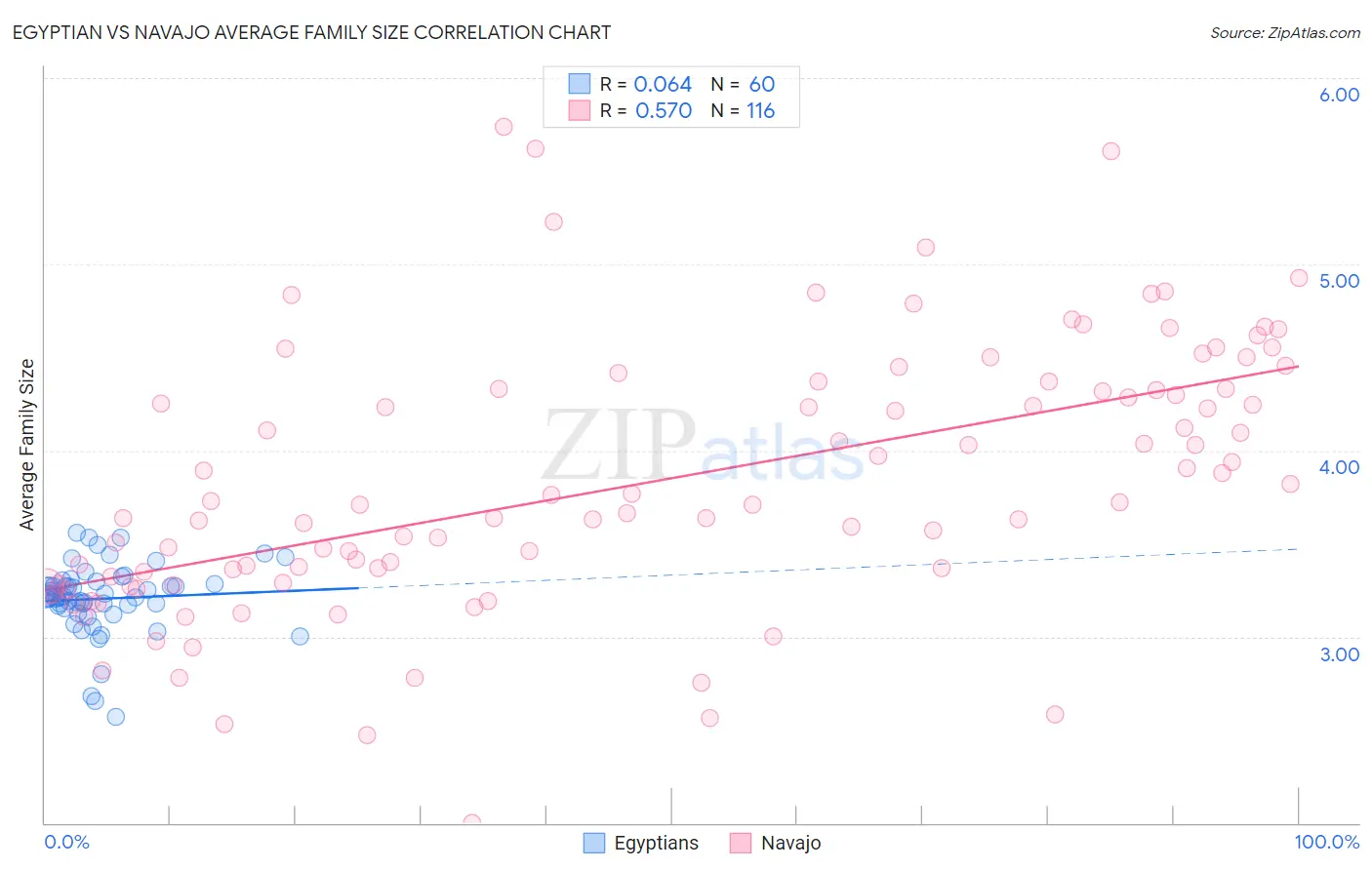 Egyptian vs Navajo Average Family Size
