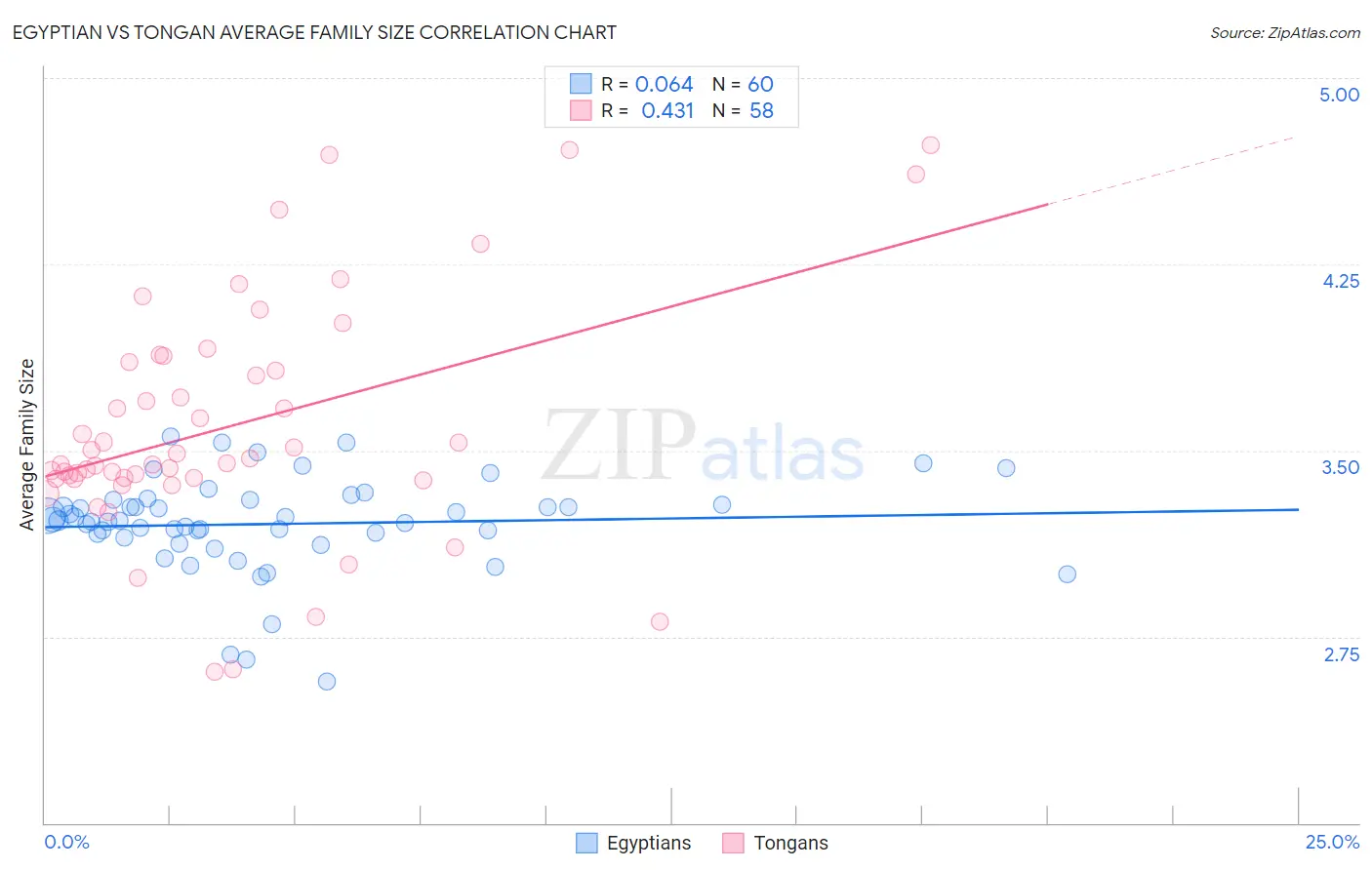 Egyptian vs Tongan Average Family Size