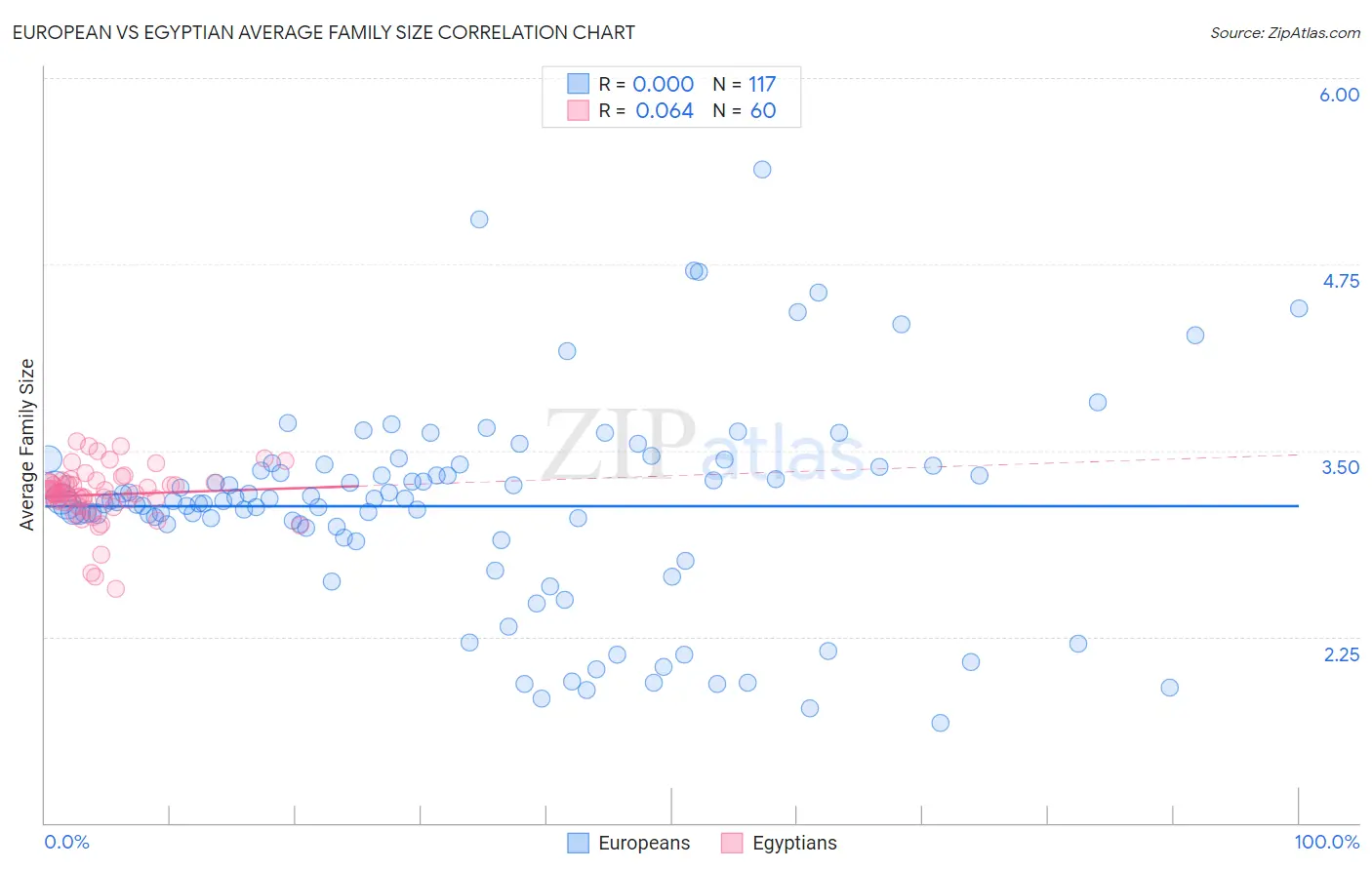European vs Egyptian Average Family Size