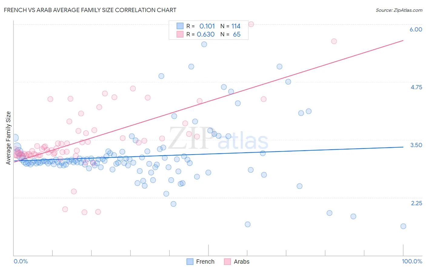 French vs Arab Average Family Size