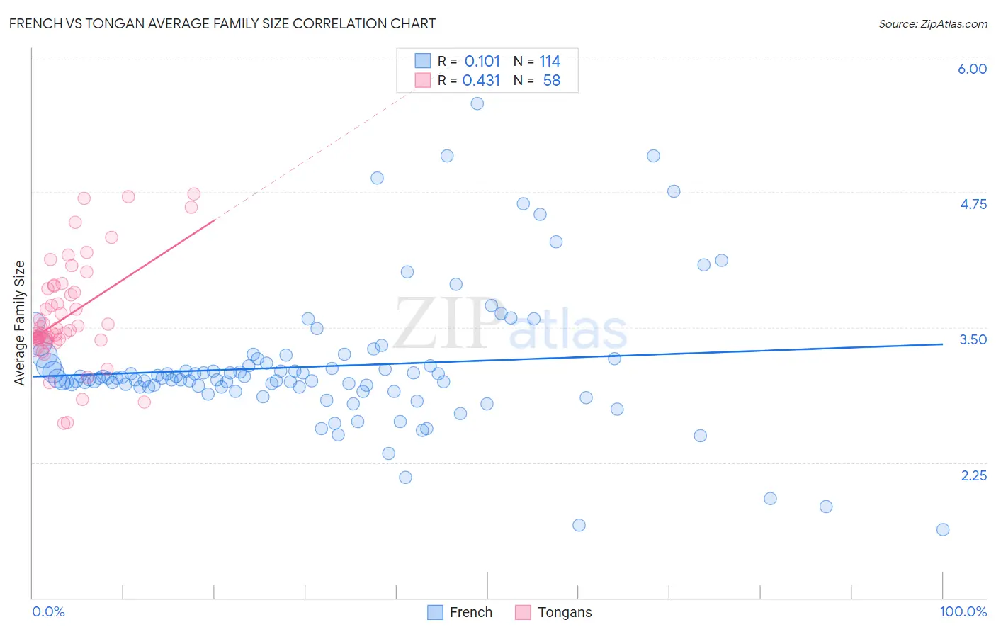 French vs Tongan Average Family Size