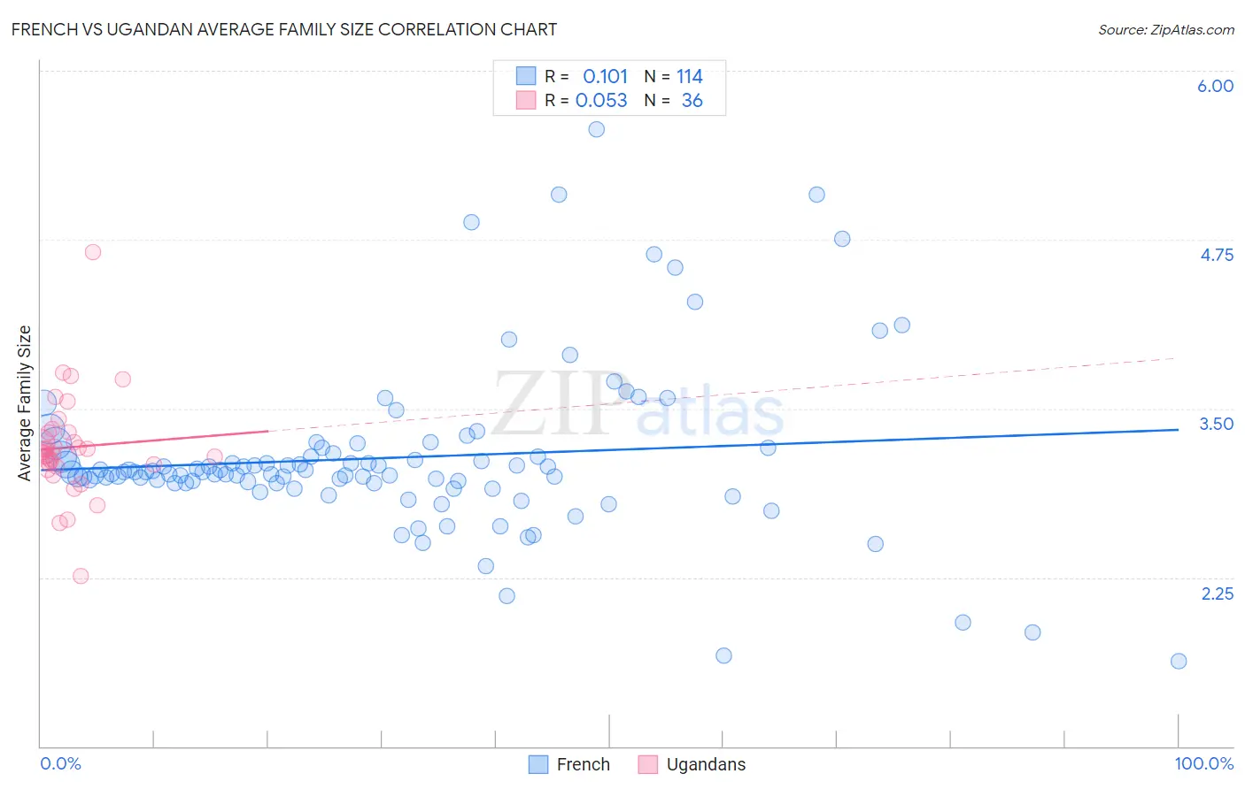 French vs Ugandan Average Family Size