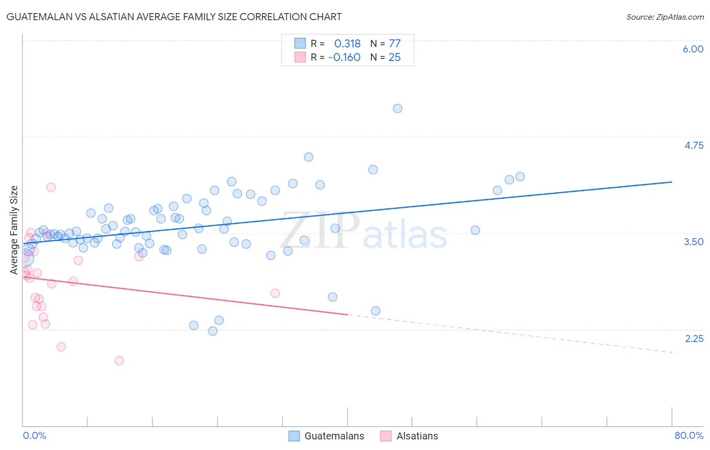 Guatemalan vs Alsatian Average Family Size