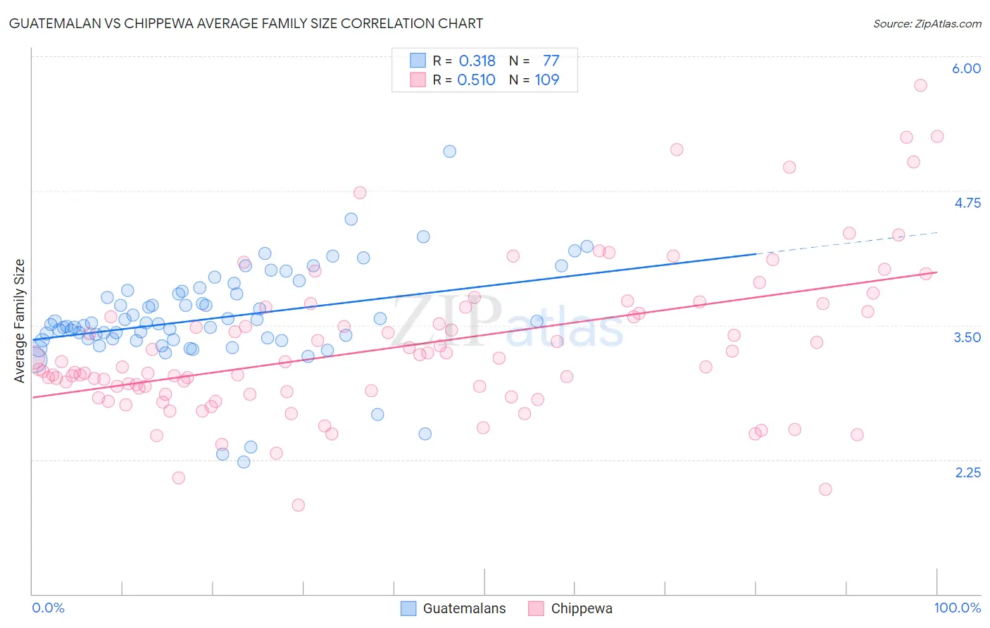 Guatemalan vs Chippewa Average Family Size