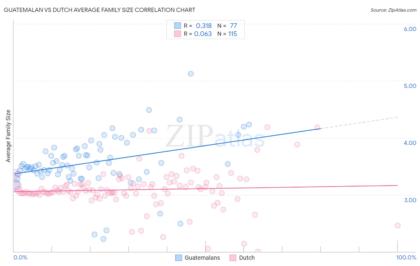 Guatemalan vs Dutch Average Family Size