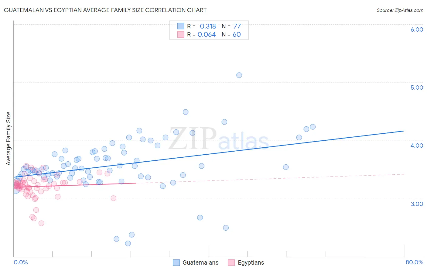 Guatemalan vs Egyptian Average Family Size