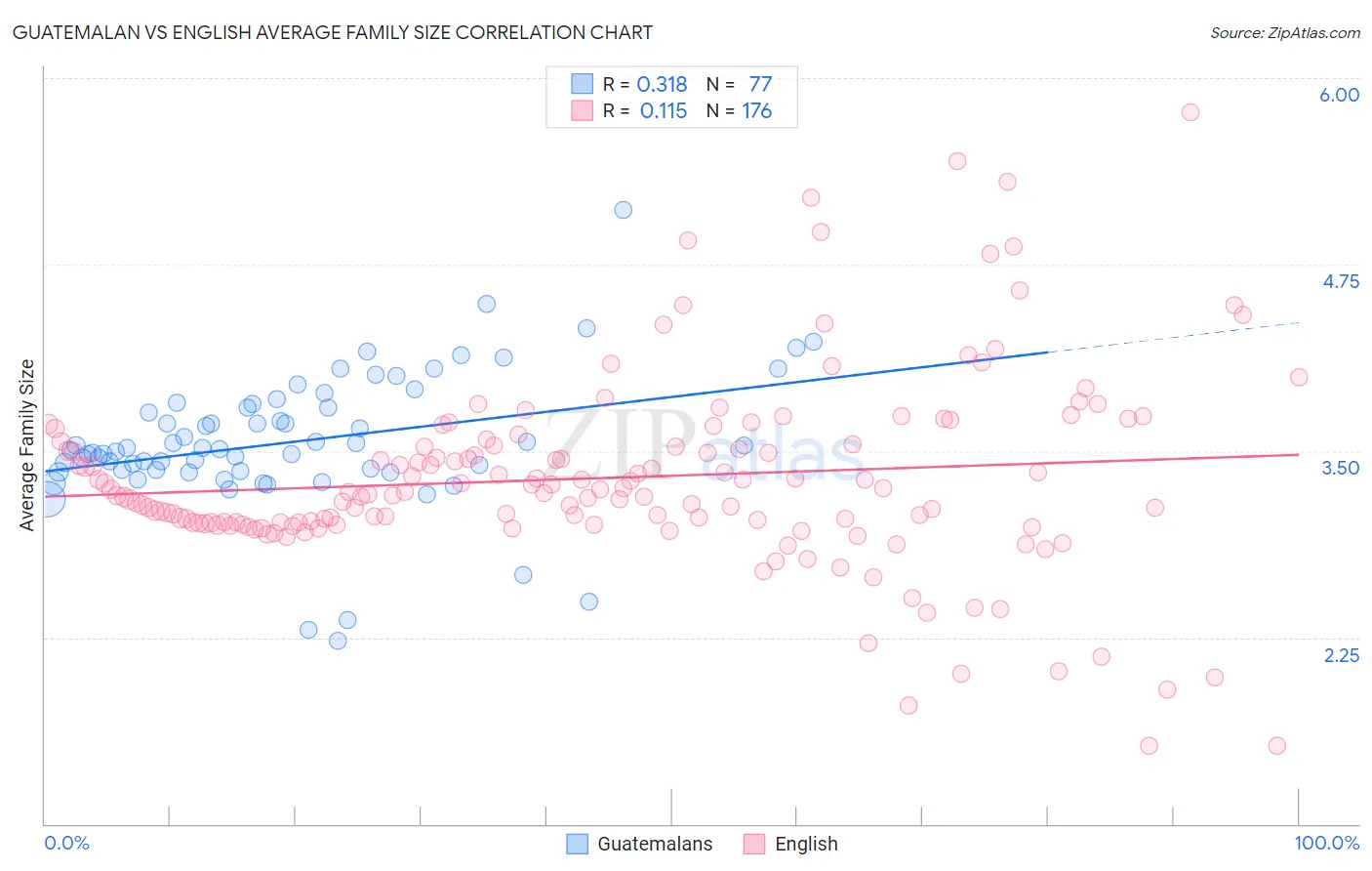 Guatemalan vs English Average Family Size