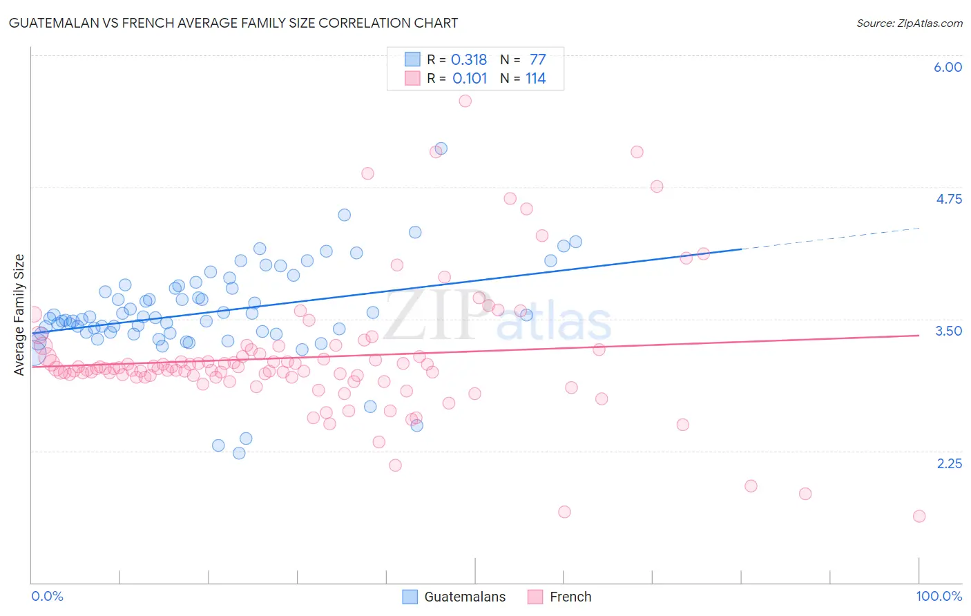 Guatemalan vs French Average Family Size