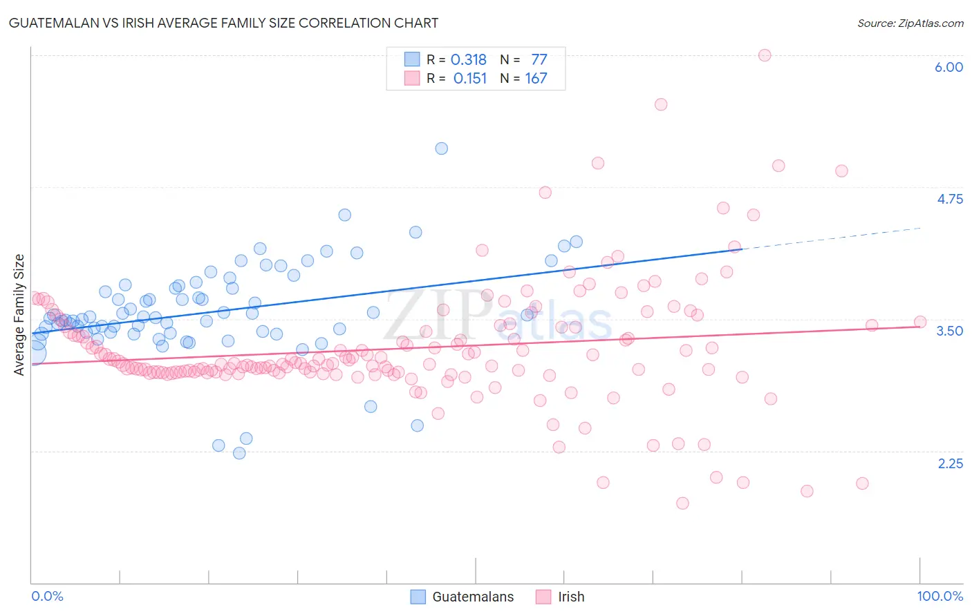 Guatemalan vs Irish Average Family Size