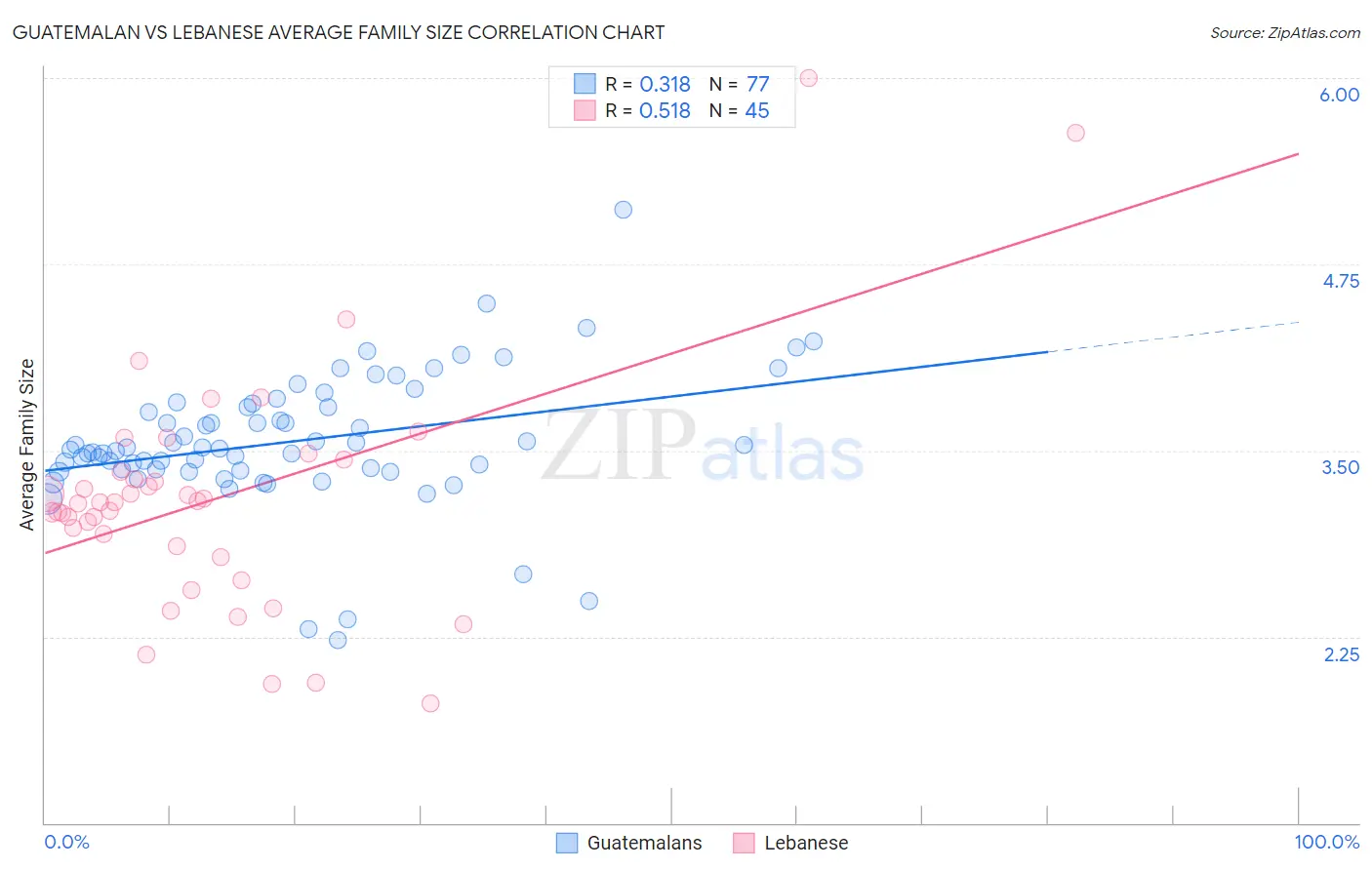 Guatemalan vs Lebanese Average Family Size