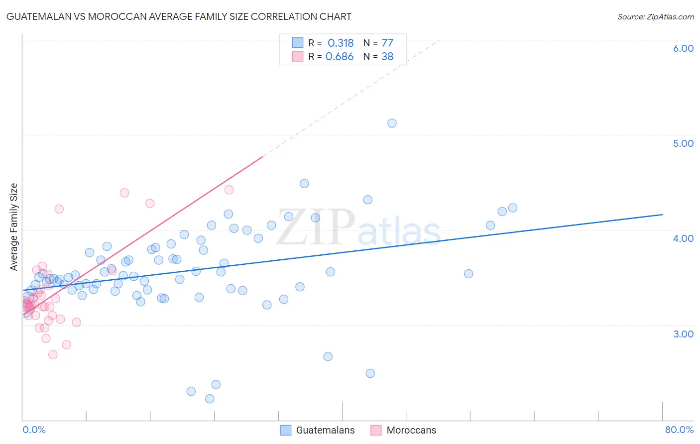 Guatemalan vs Moroccan Average Family Size