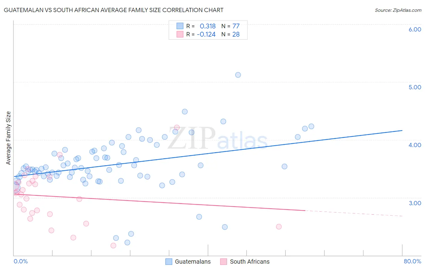 Guatemalan vs South African Average Family Size