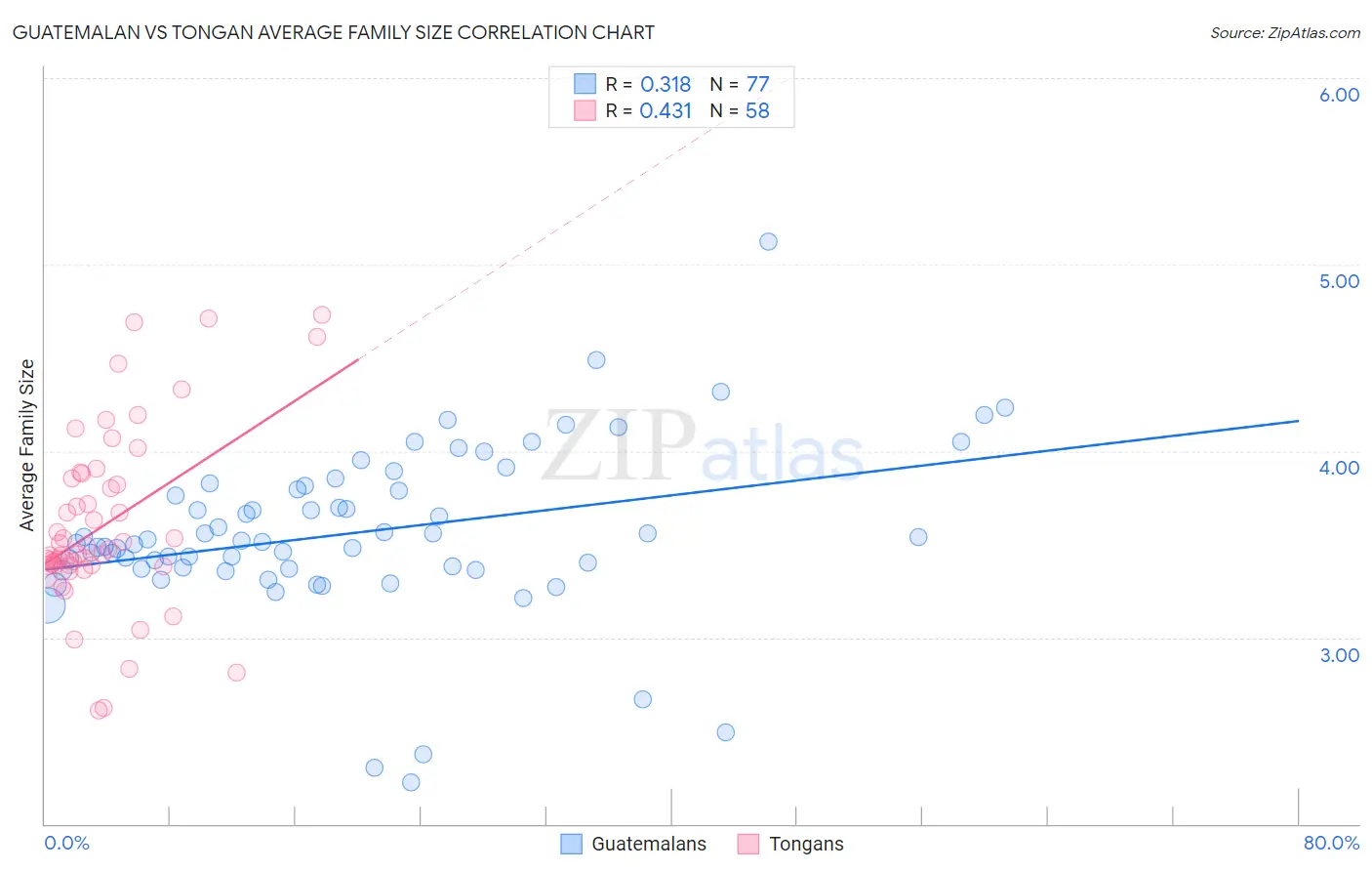 Guatemalan vs Tongan Average Family Size