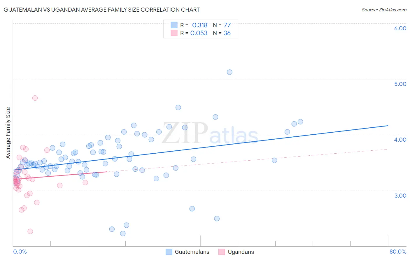 Guatemalan vs Ugandan Average Family Size