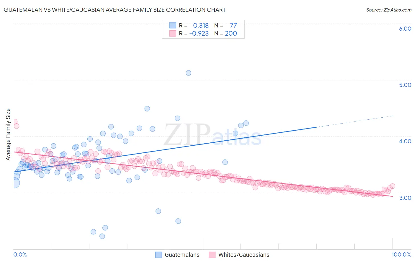 Guatemalan vs White/Caucasian Average Family Size