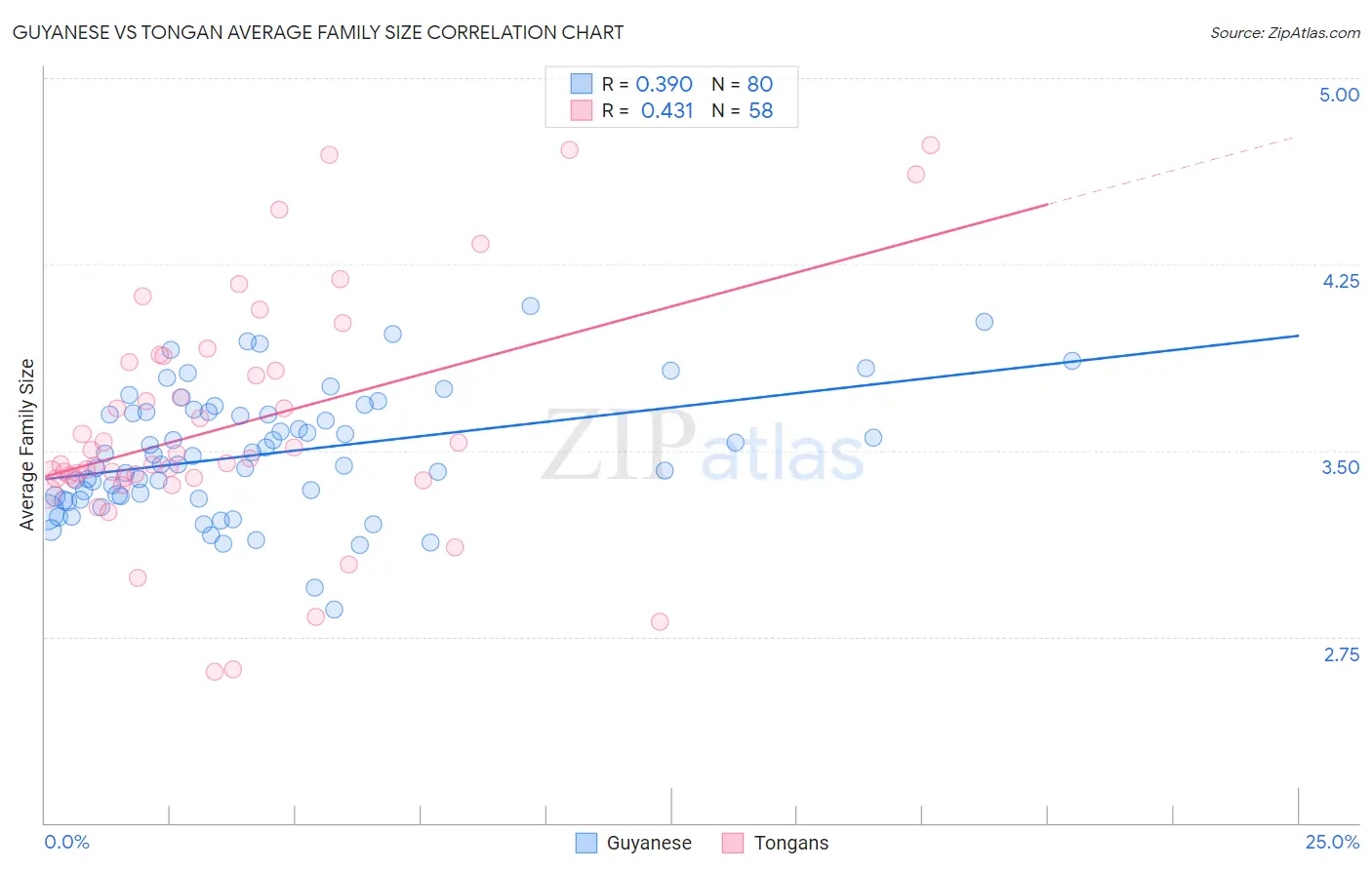 Guyanese vs Tongan Average Family Size