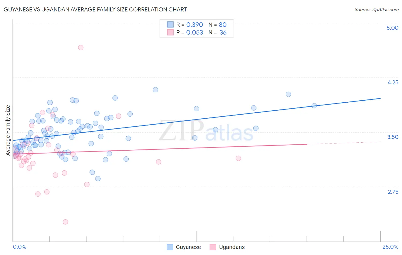 Guyanese vs Ugandan Average Family Size