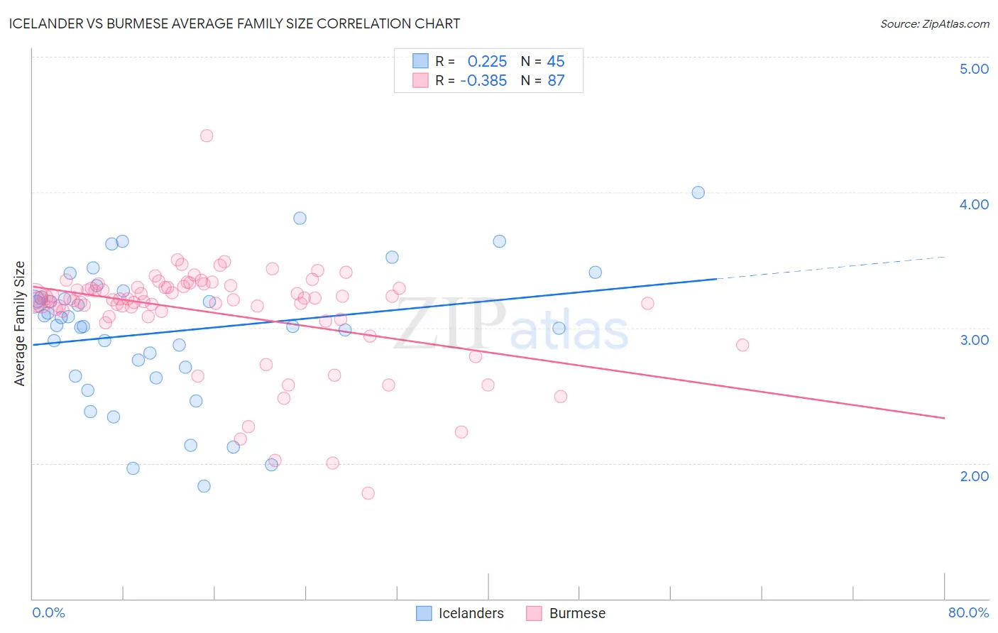 Icelander vs Burmese Average Family Size