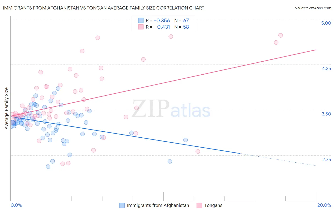 Immigrants from Afghanistan vs Tongan Average Family Size