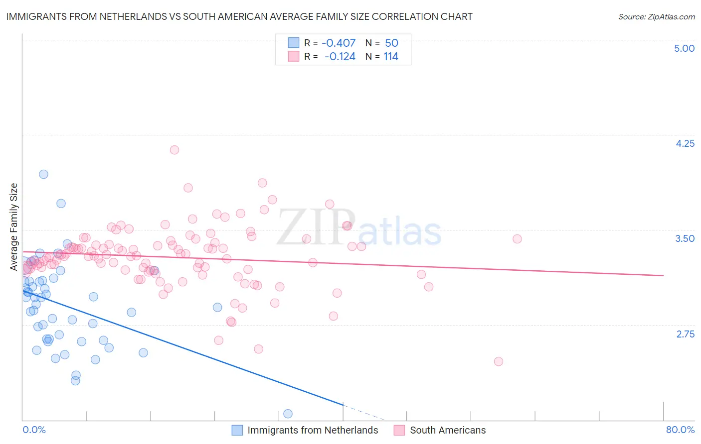 Immigrants from Netherlands vs South American Average Family Size