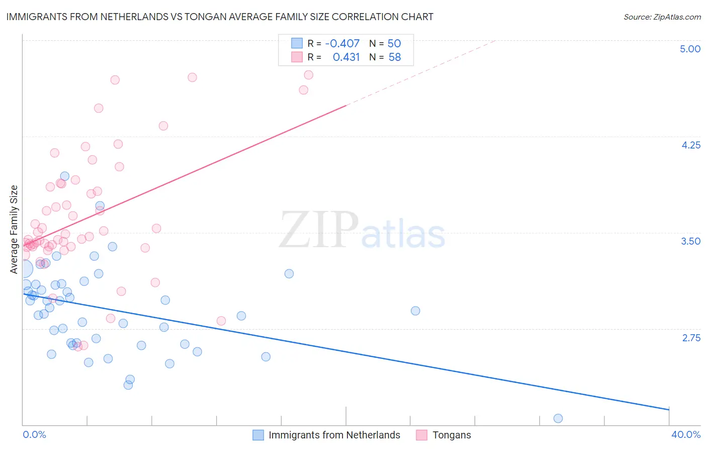 Immigrants from Netherlands vs Tongan Average Family Size