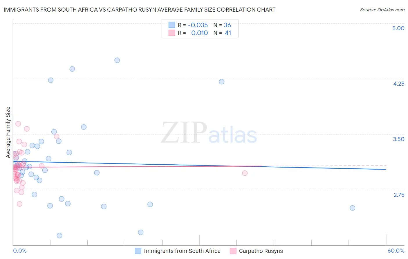 Immigrants from South Africa vs Carpatho Rusyn Average Family Size