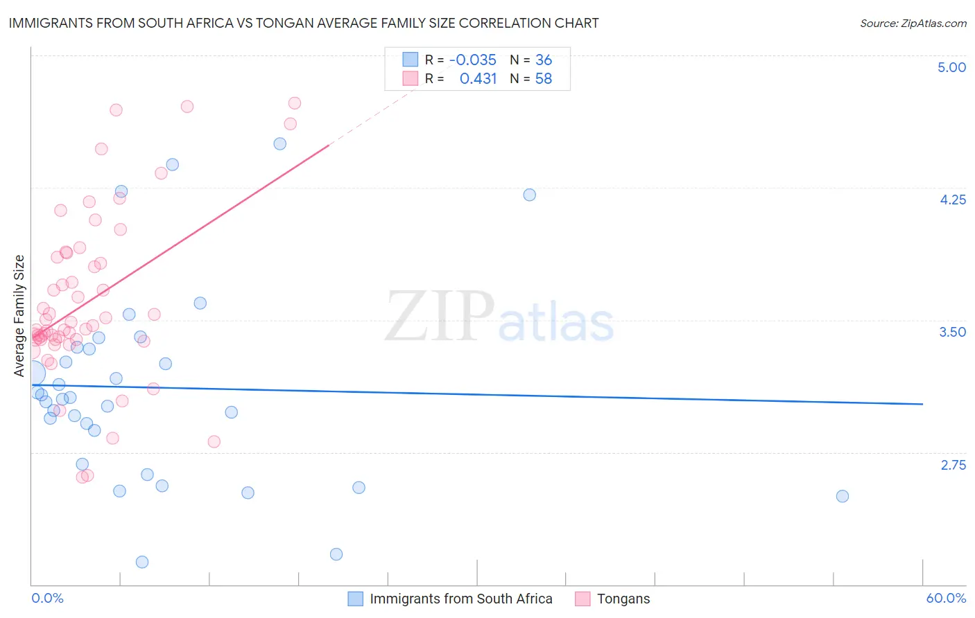 Immigrants from South Africa vs Tongan Average Family Size