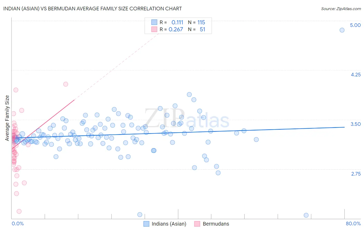 Indian (Asian) vs Bermudan Average Family Size