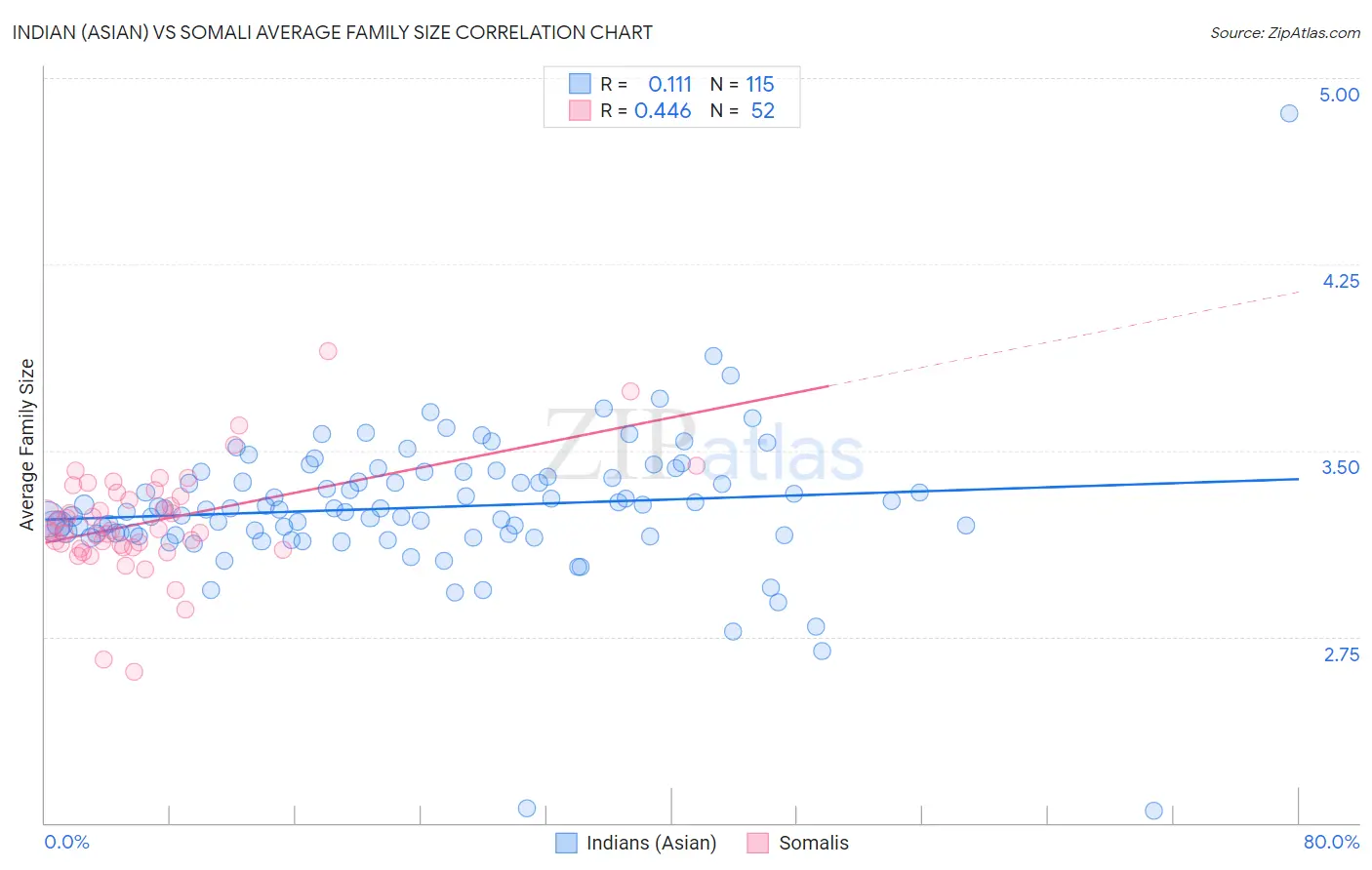 Indian (Asian) vs Somali Average Family Size